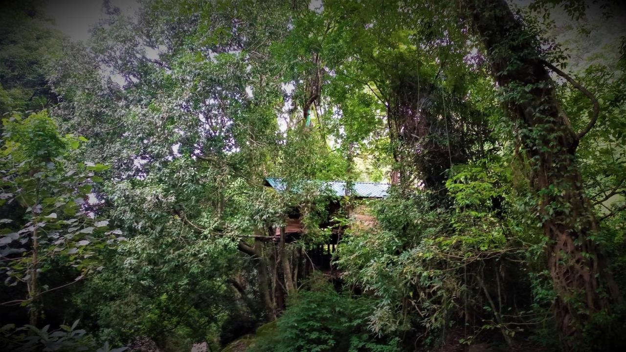Chalet In The Jungle Pallegama Exterior foto